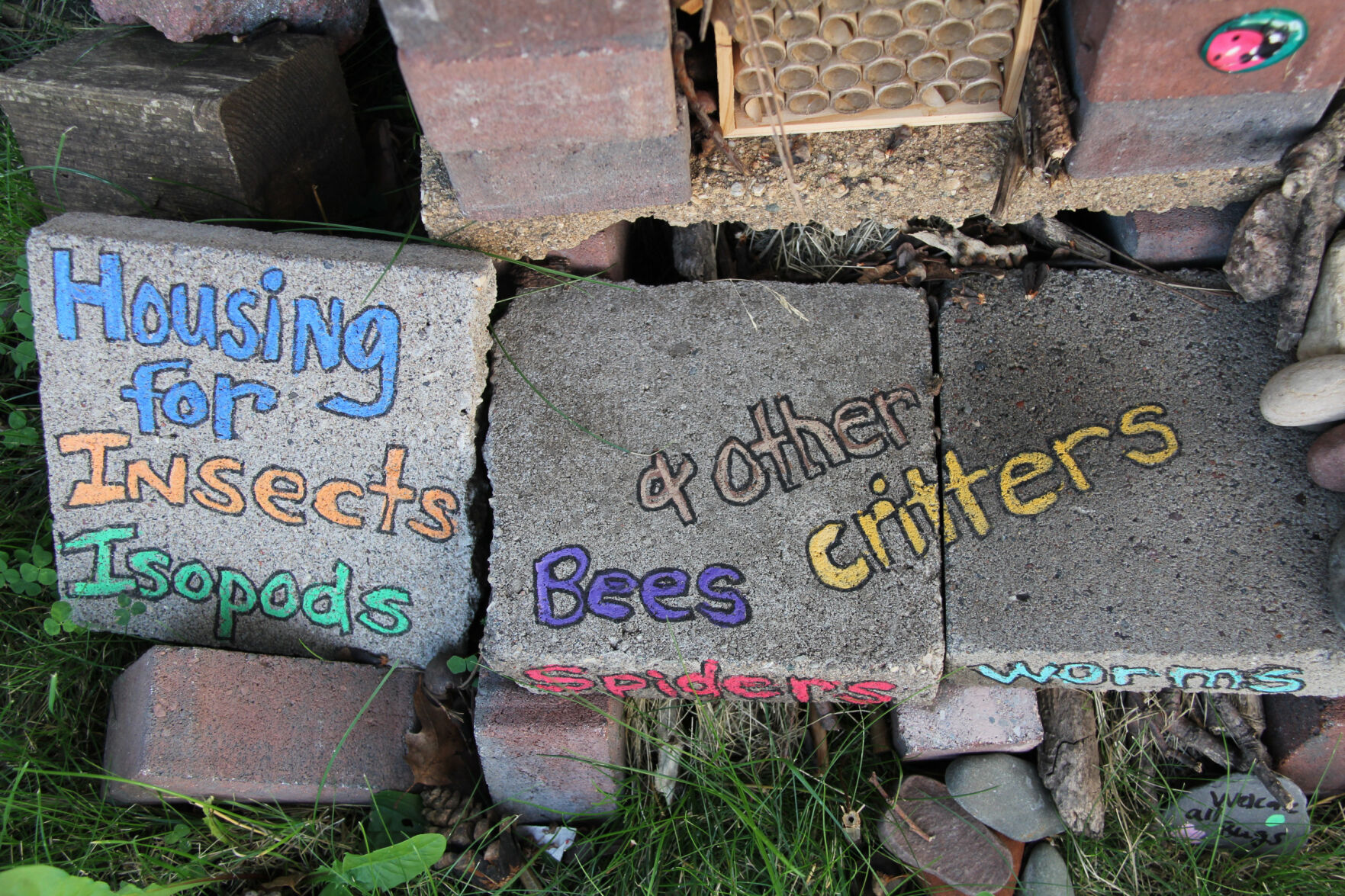 bee-lawn-3956-closeup-of-words.jpg